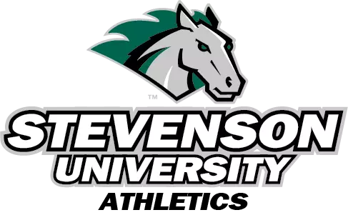 Stevenson University Women's Beach Volleyball