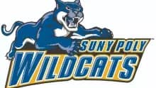 State University of New York Polytechnic Institute Men's Soccer
