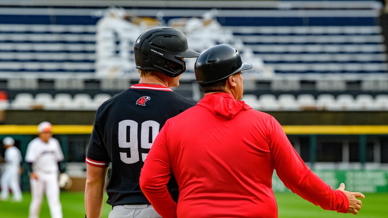 Illinois Institute of Technology Baseball
