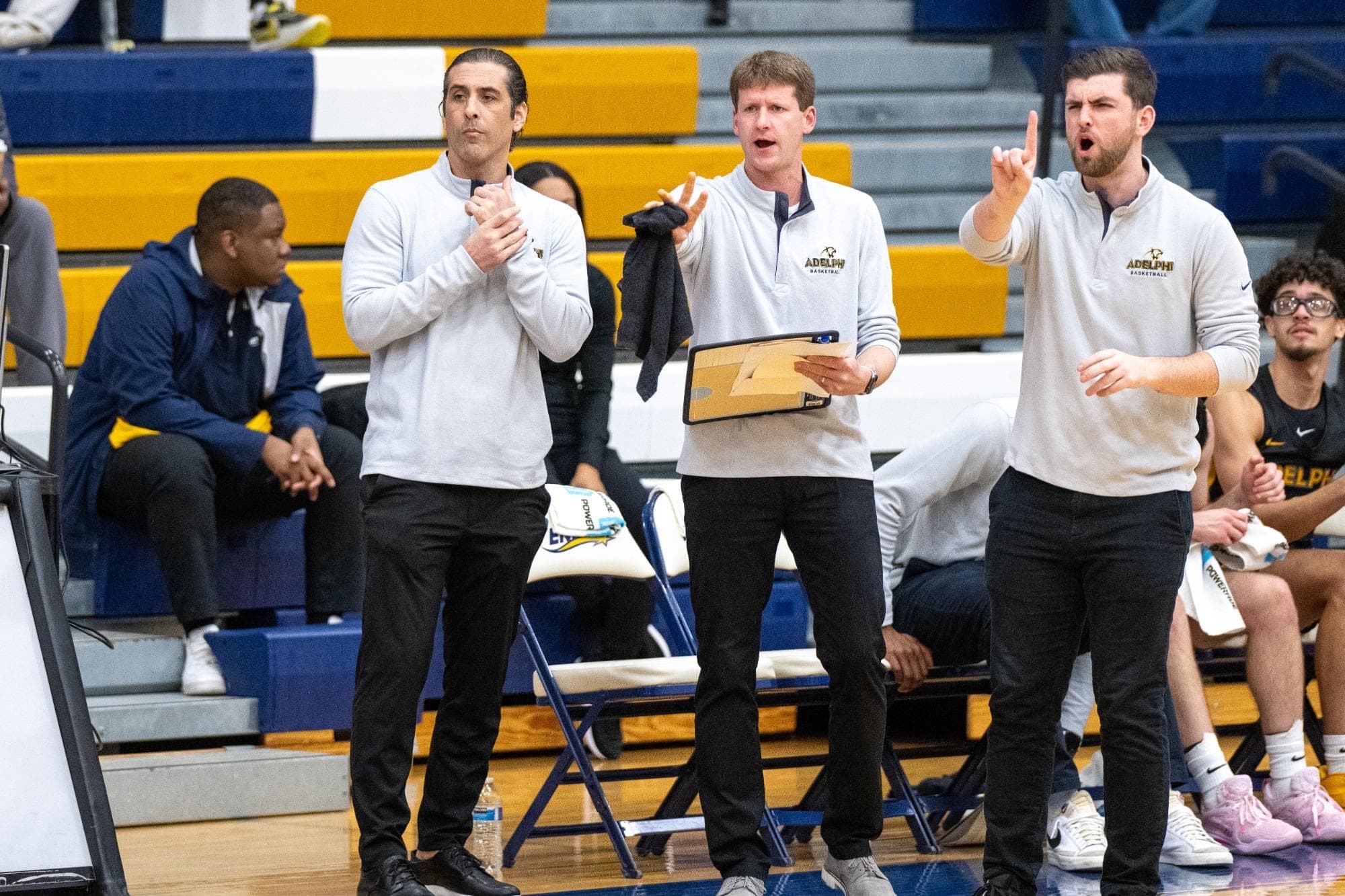 Adelphi University Men's Basketball