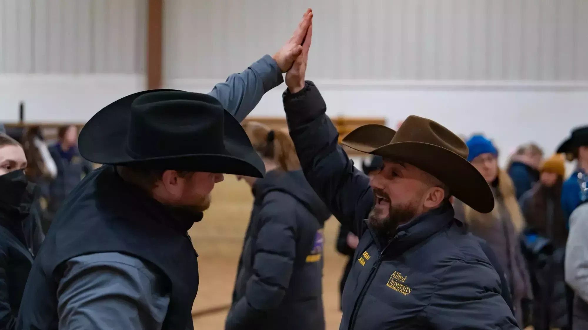 Alfred University Equestrian