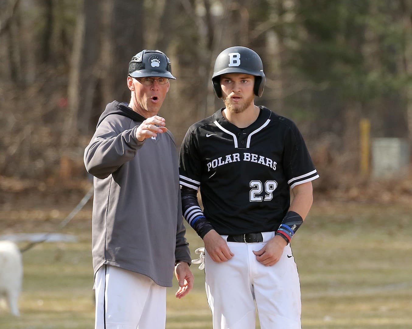 Bowdoin College Baseball