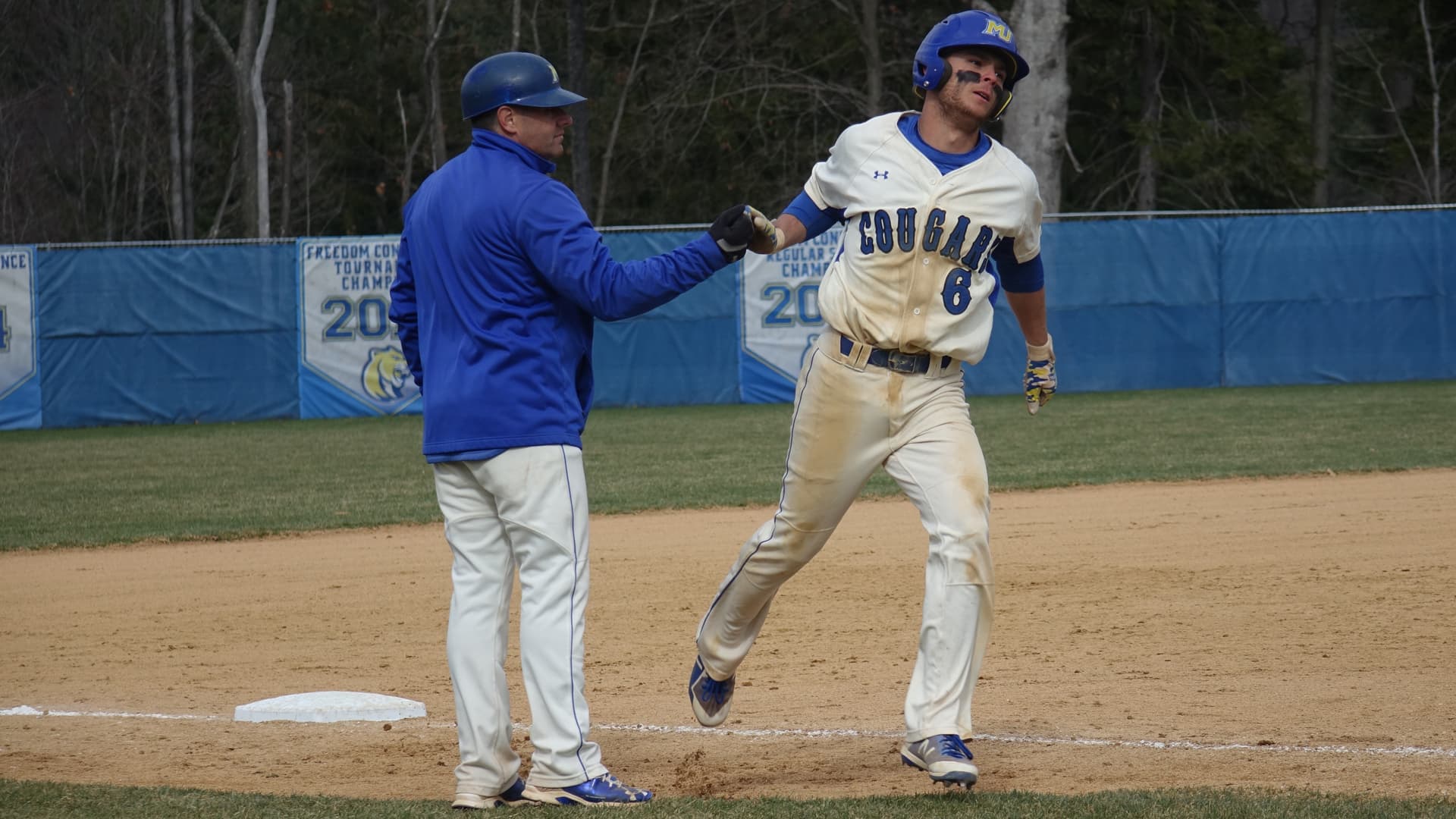 Misericordia University Baseball