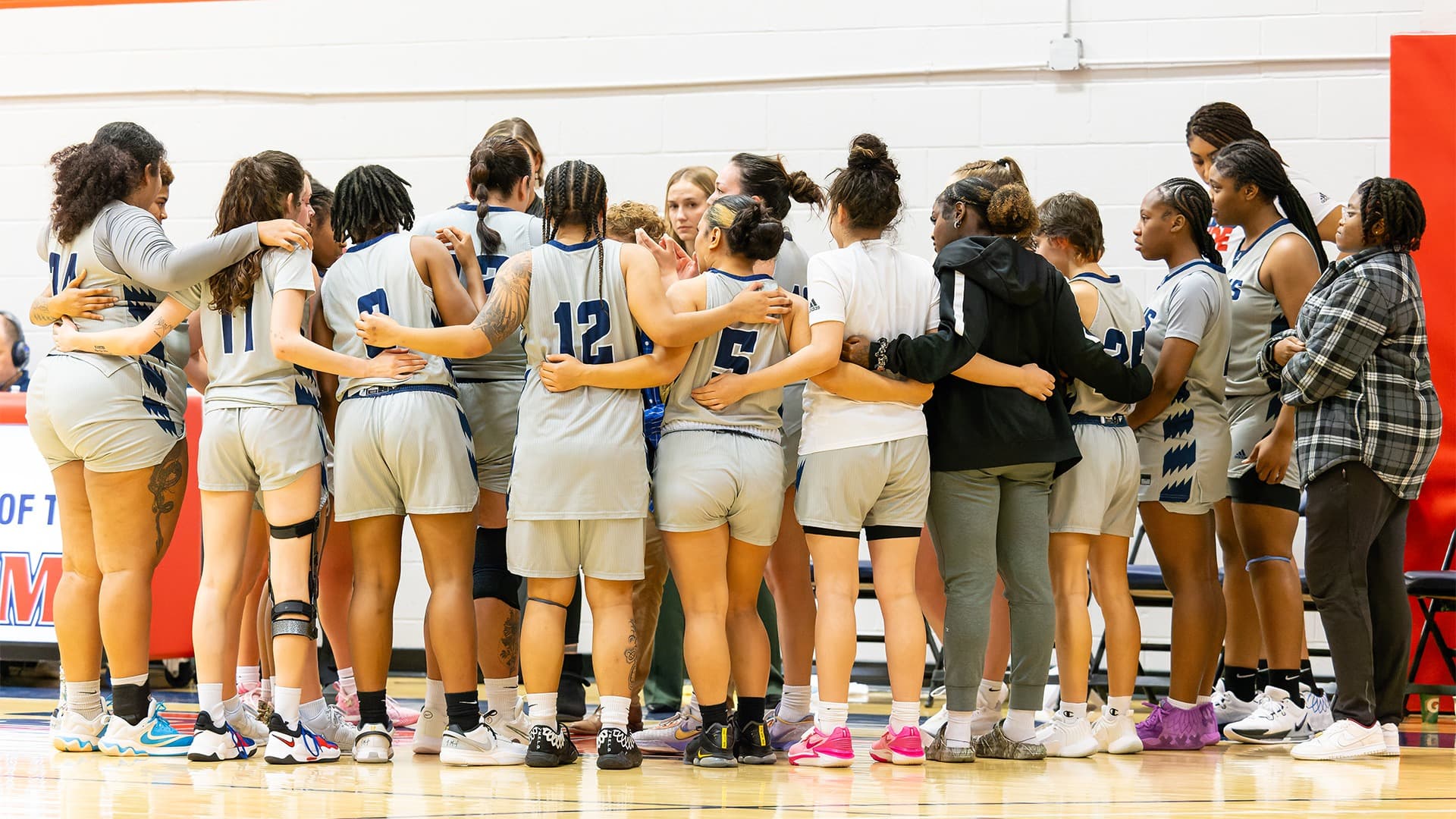 New England College Women's Basketball