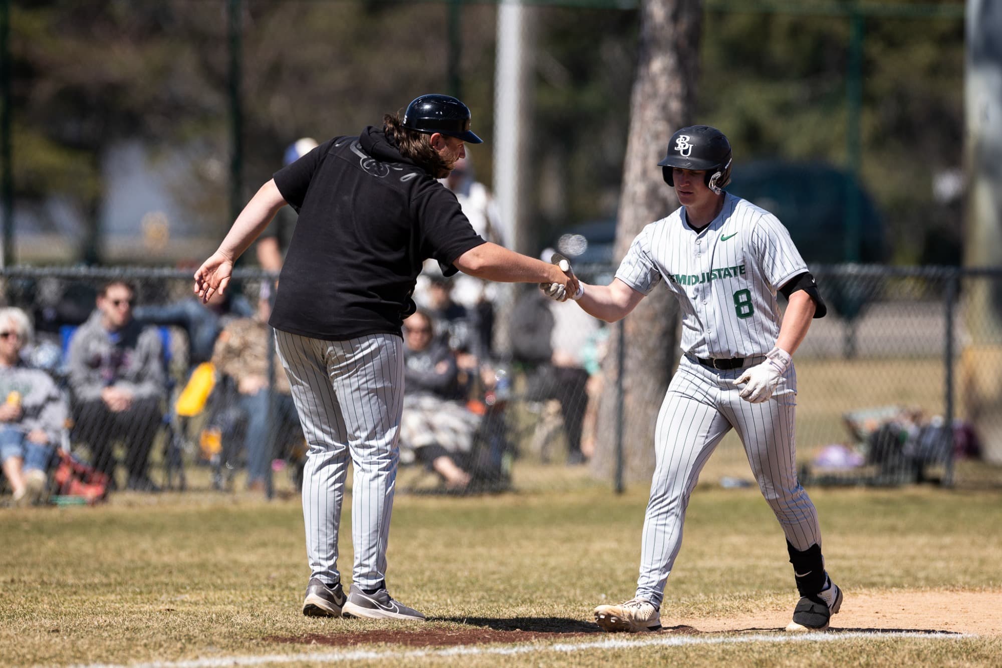 Bemidji State University Baseball