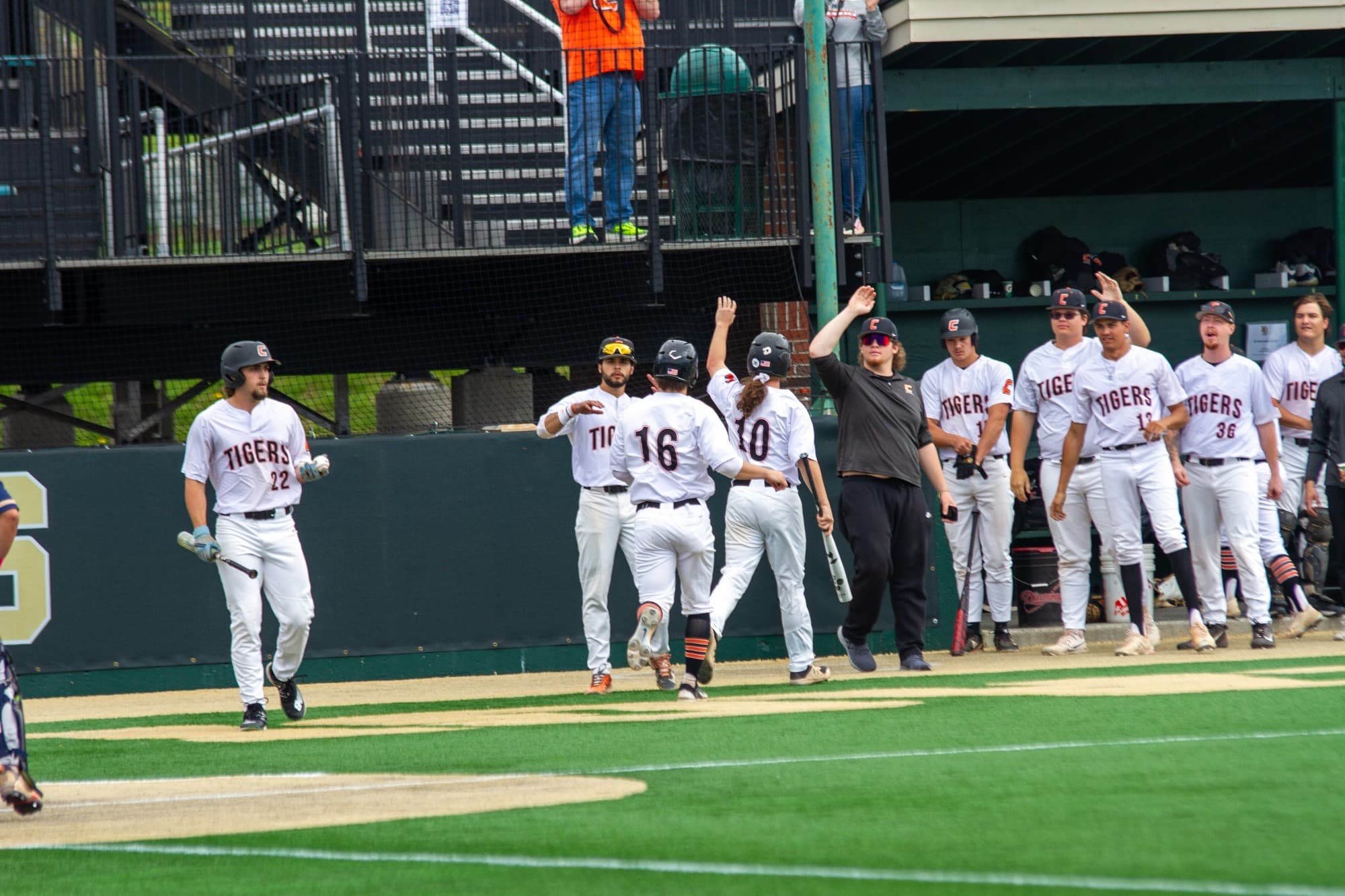 State University of New York at Cobleskill Baseball