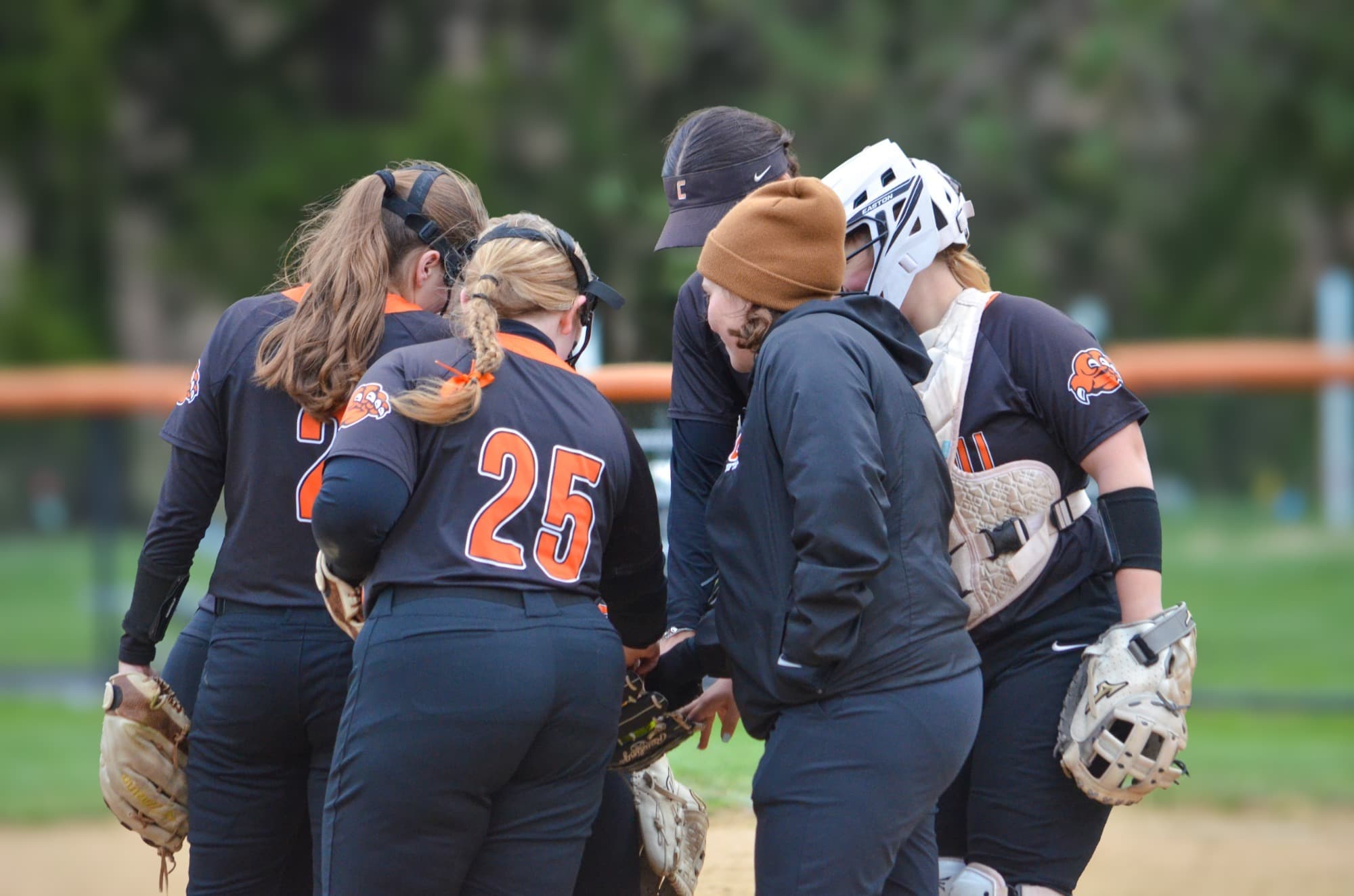 State University of New York at Cobleskill Softball