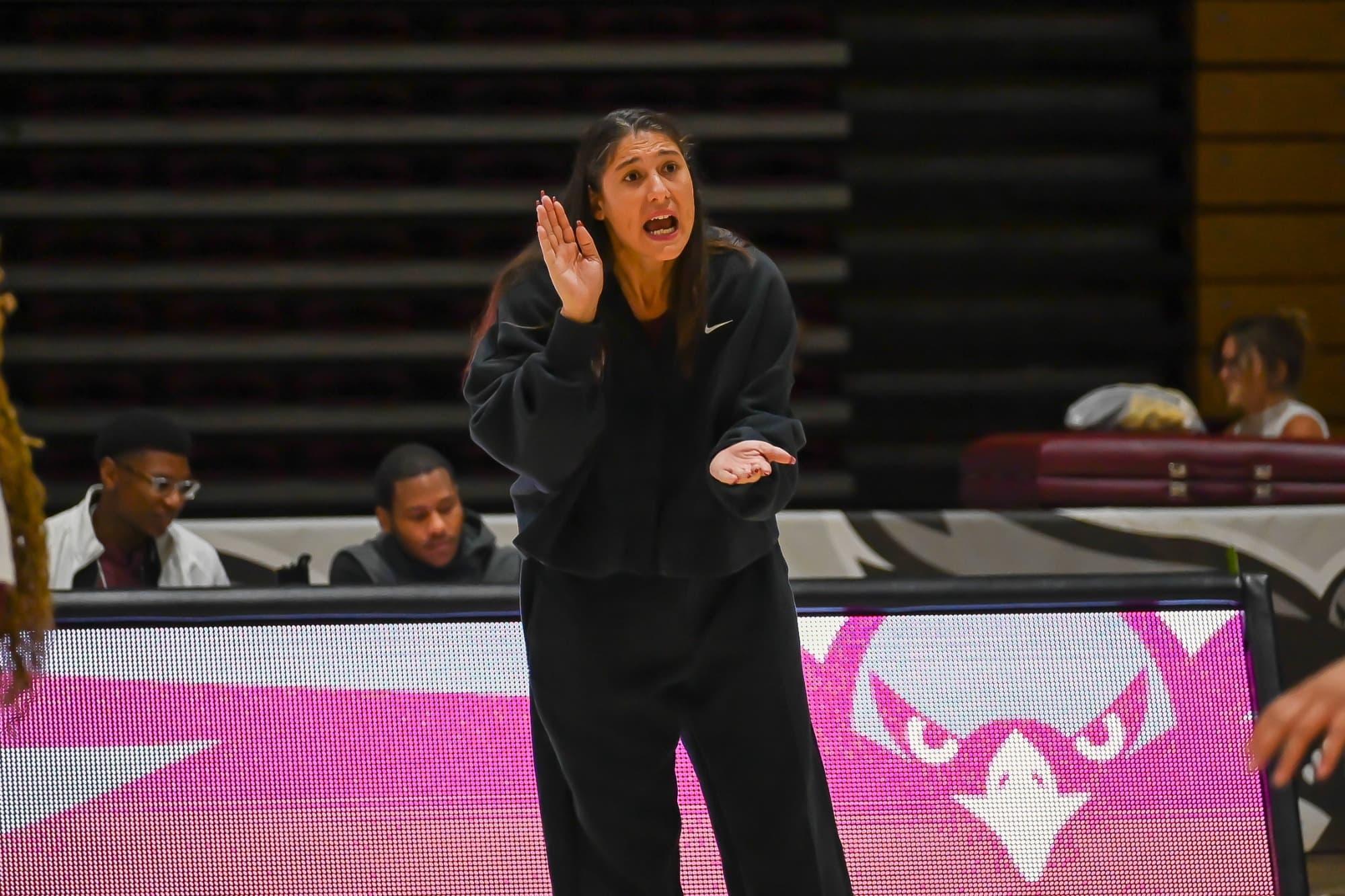 University of Maryland Eastern Shore Volleyball