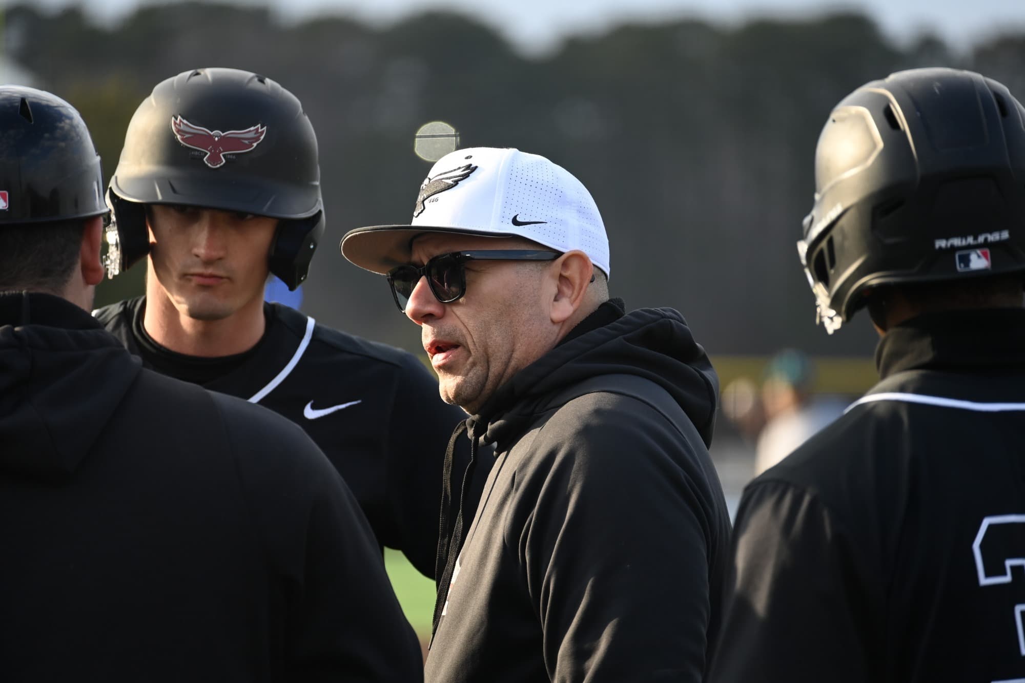 University of Maryland Eastern Shore Baseball