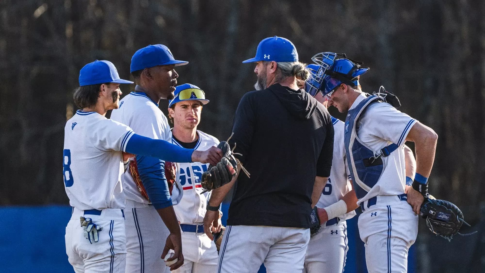 Georgia State University Baseball