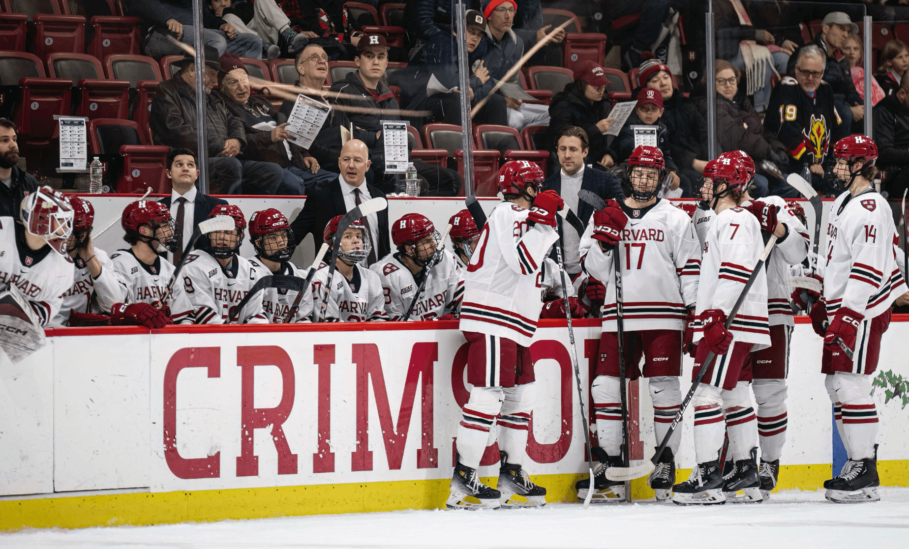 Harvard University Men's Ice Hockey