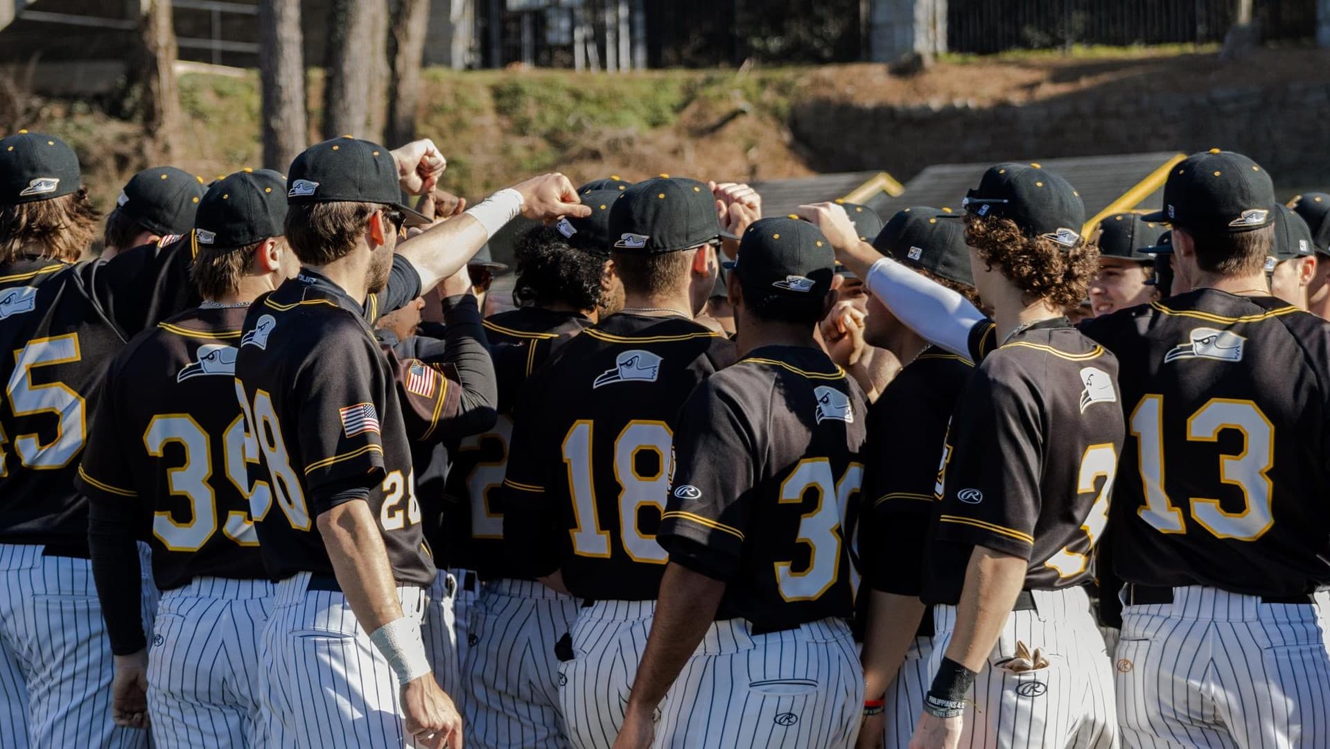 Oglethorpe University Baseball