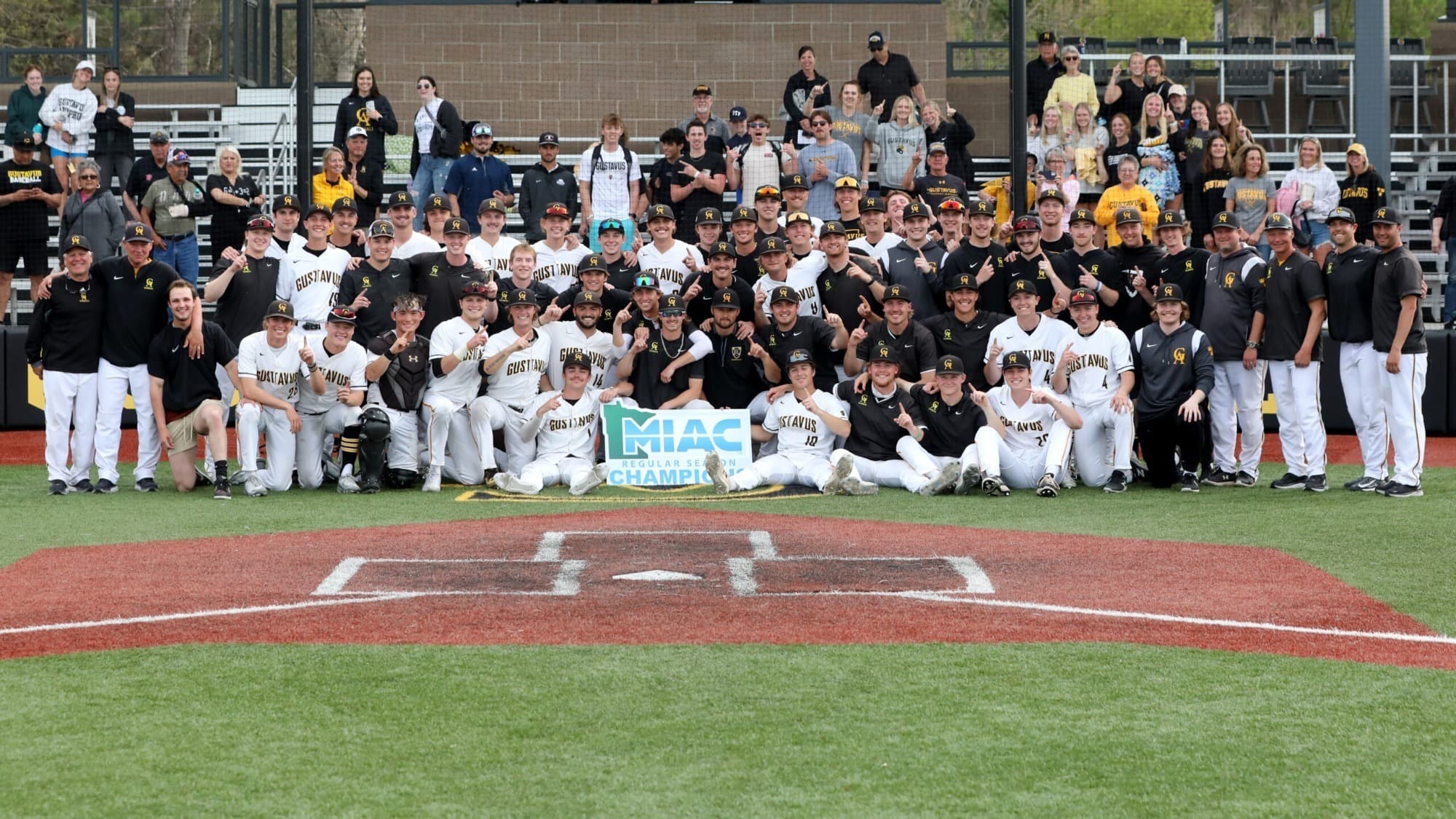 Gustavus Adolphus College Baseball