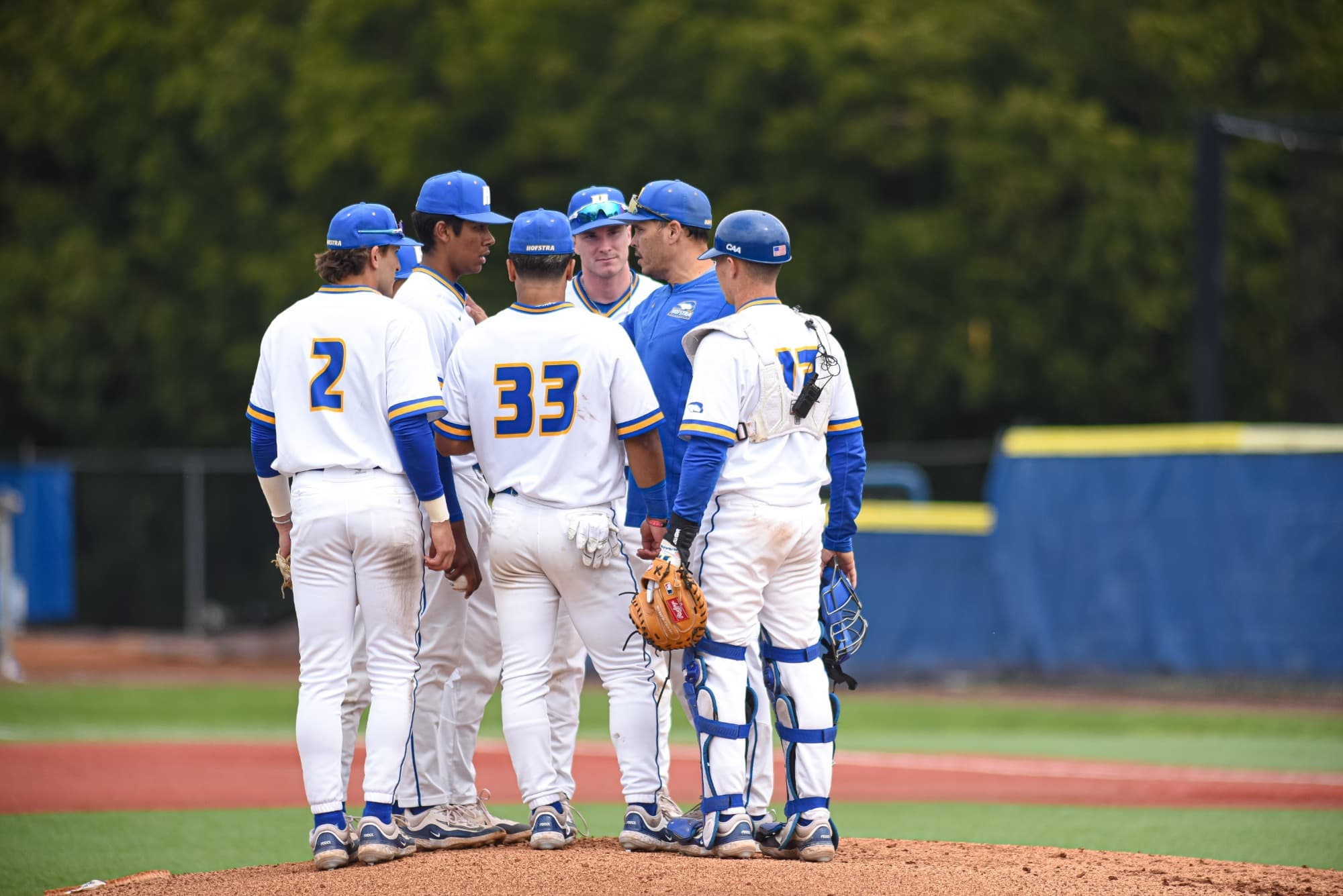 Hofstra University Baseball
