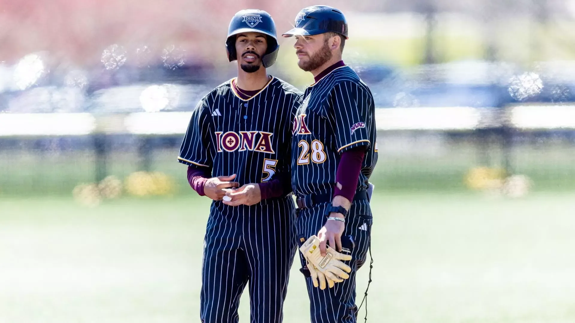 Iona University Baseball