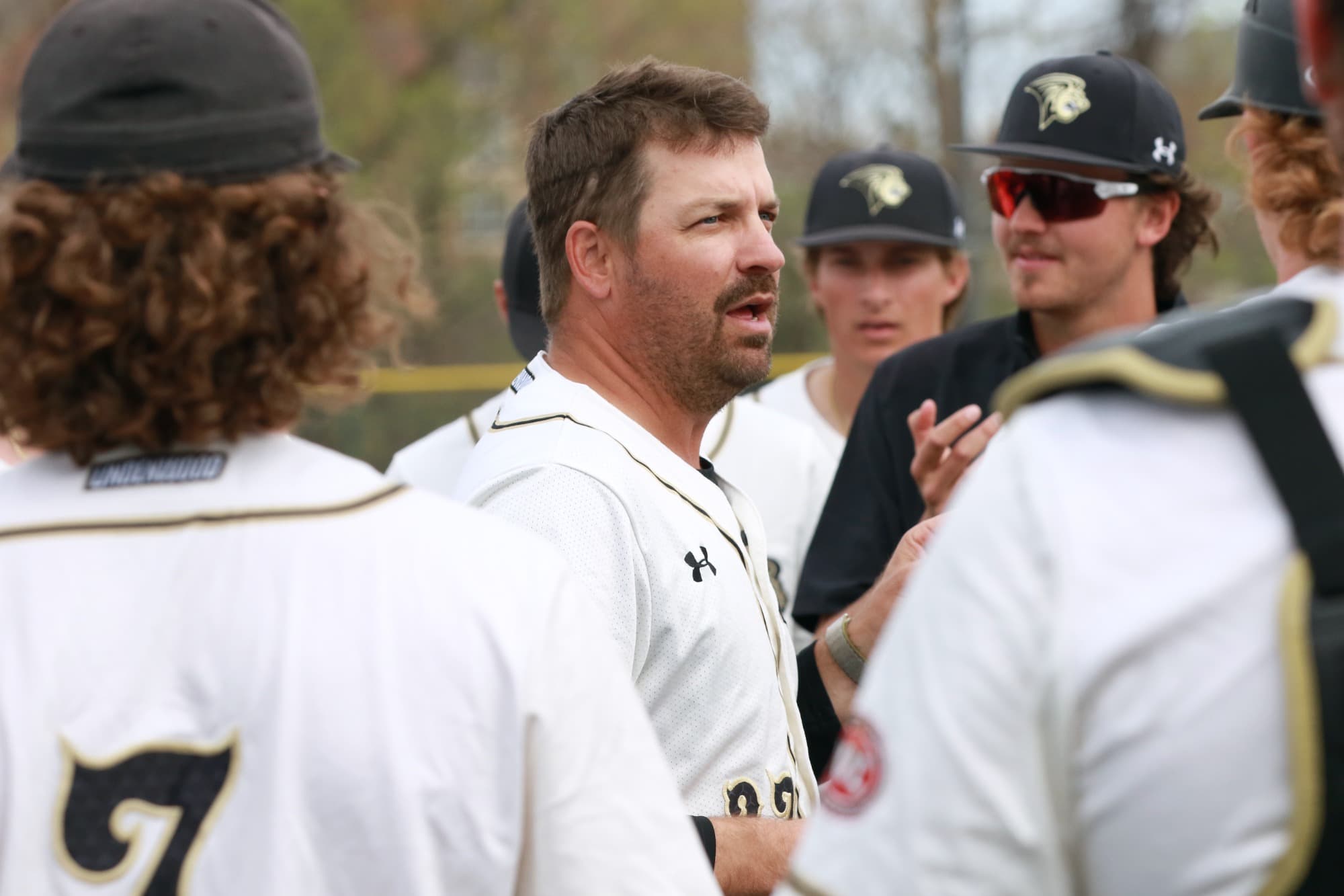 Lindenwood University Baseball