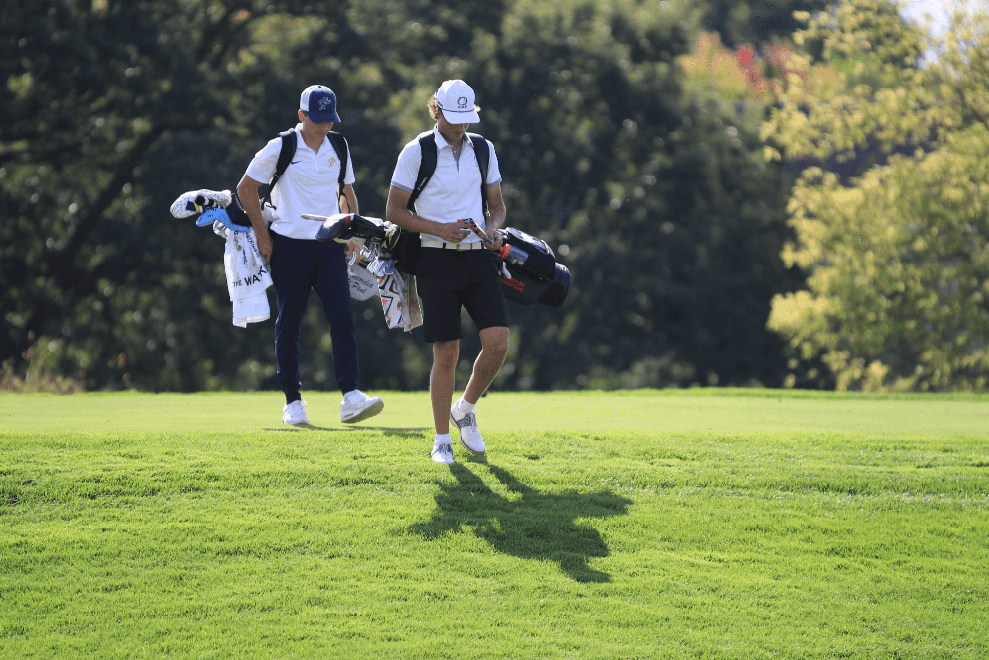 Minot State University Men's Golf
