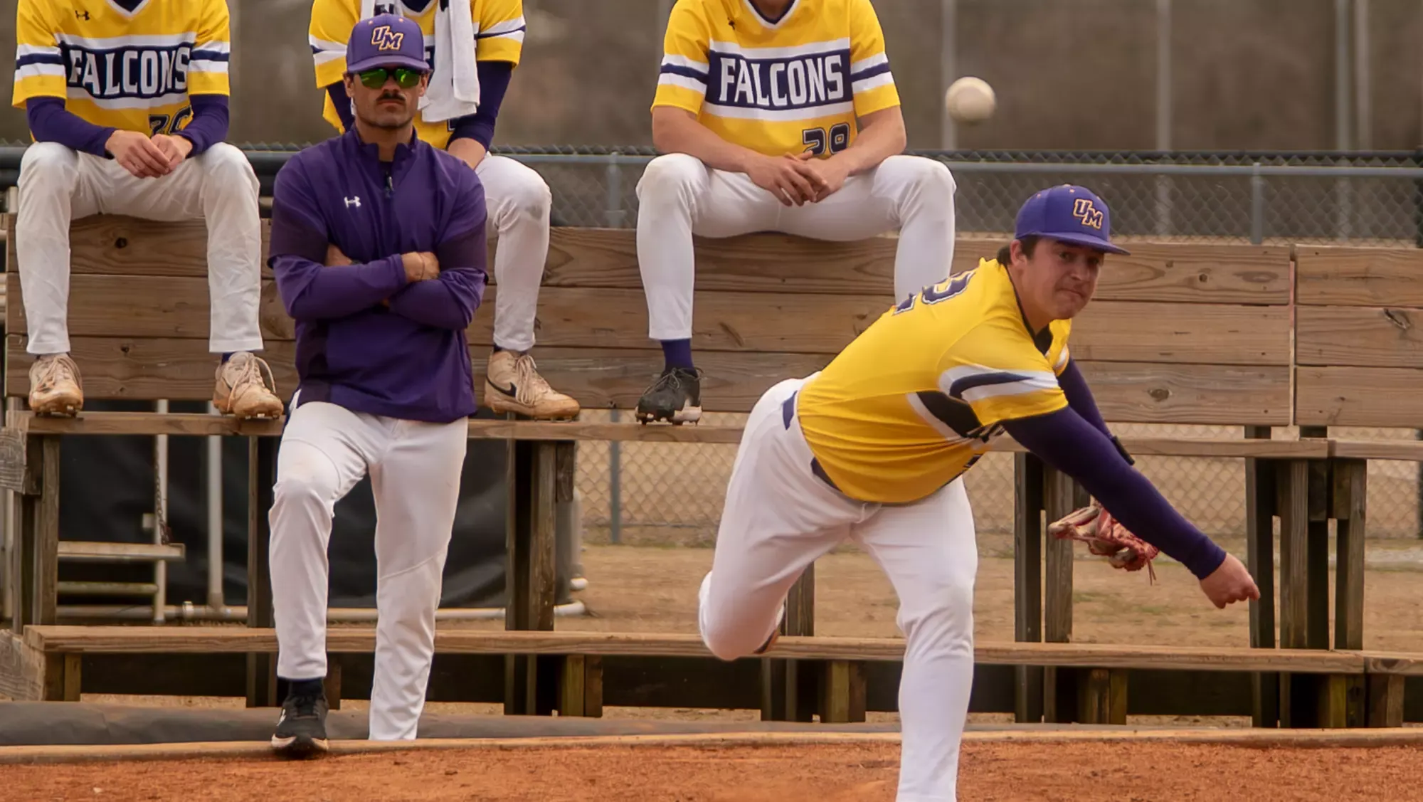 University of Montevallo banner