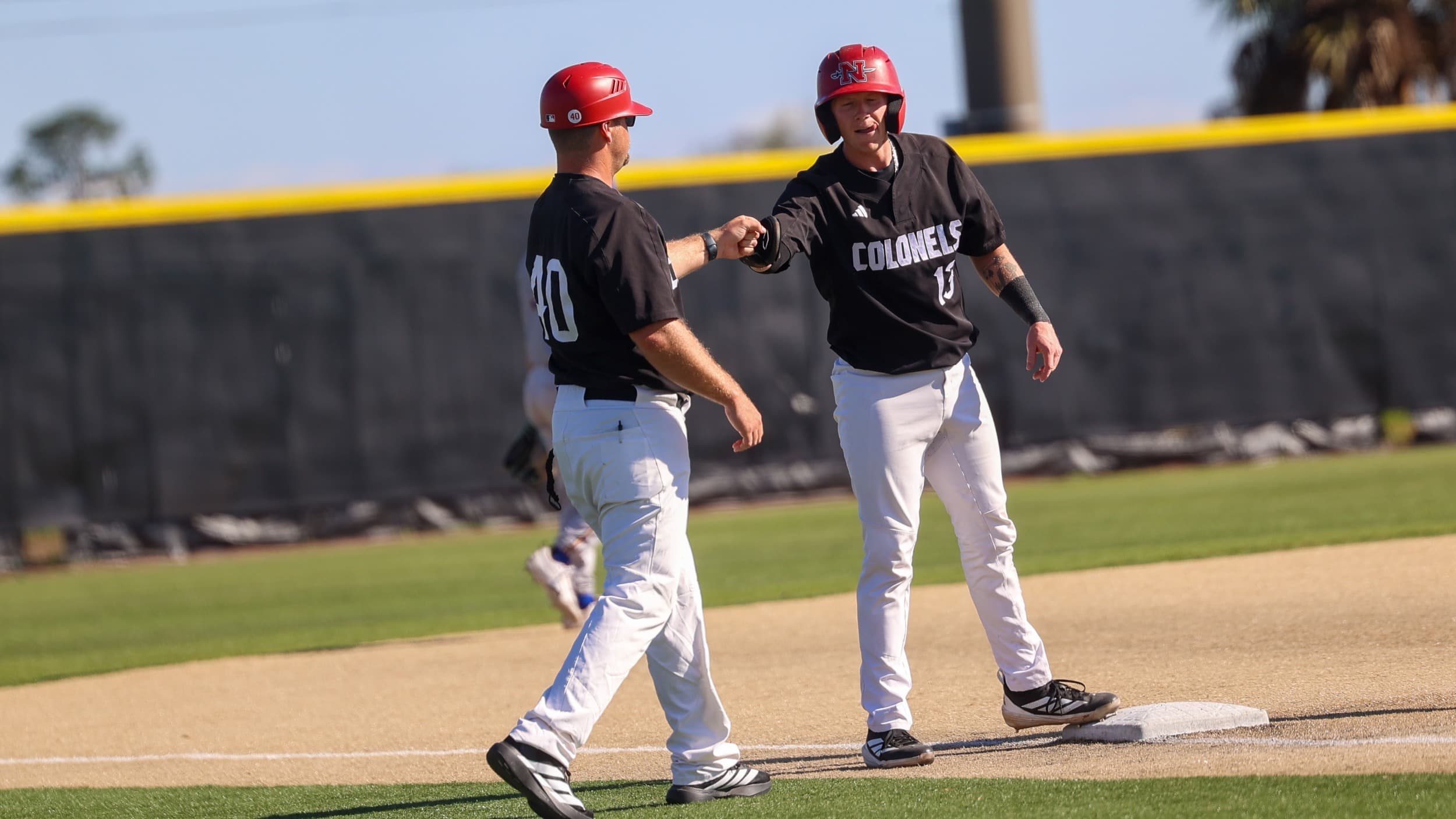 Nicholls State University Baseball