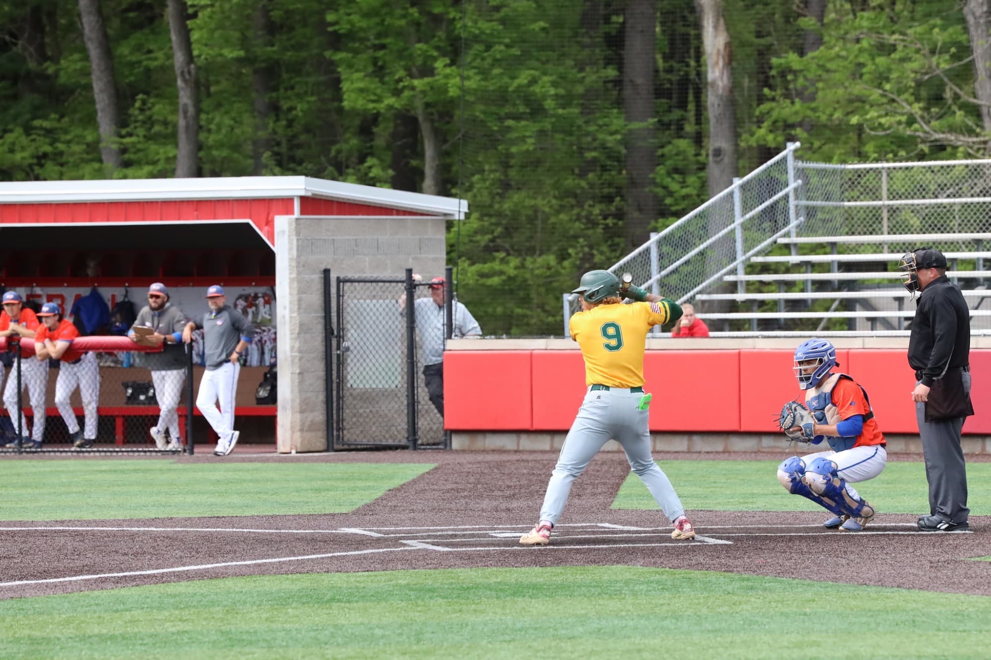 State University of New York at Oswego Baseball