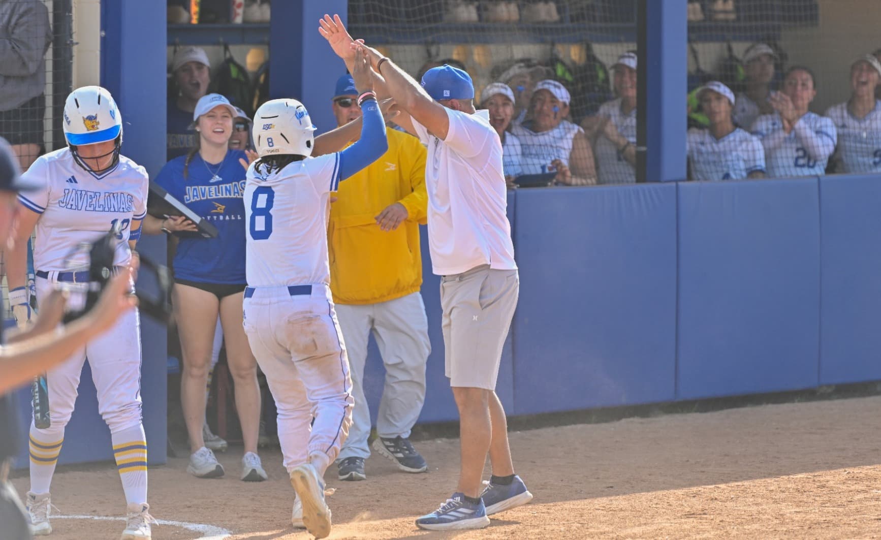 Texas A&M University-Kingsville Softball