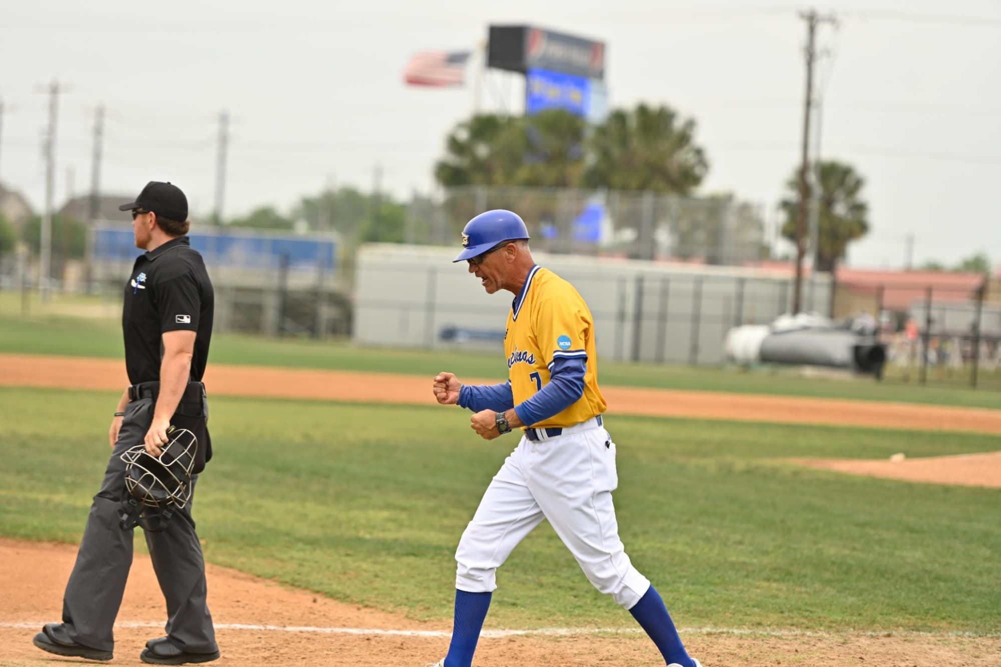 Texas A&M University-Kingsville Baseball