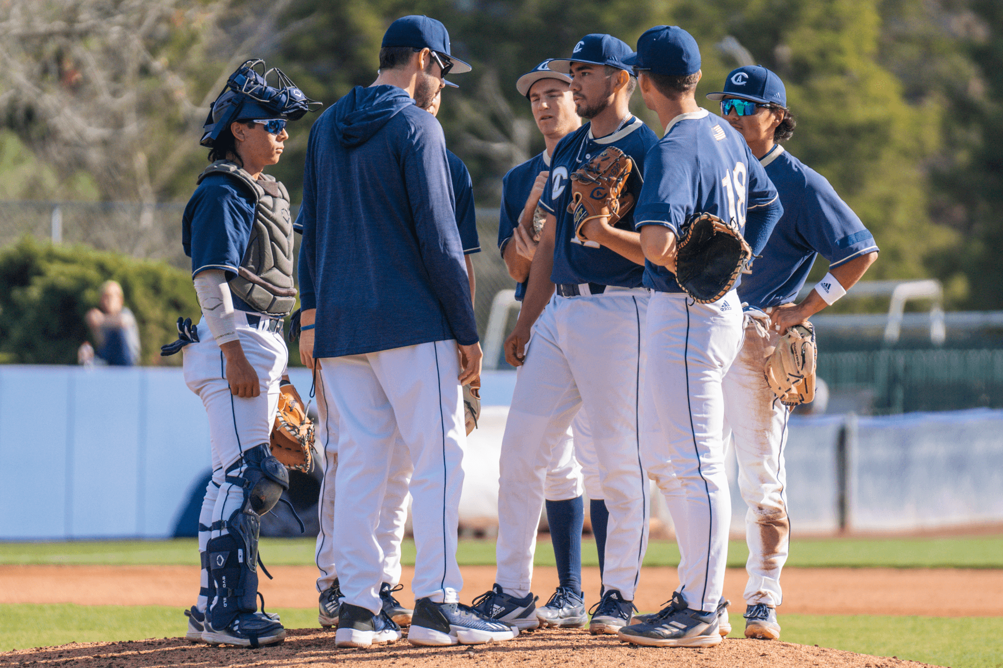 University of California-Davis Baseball