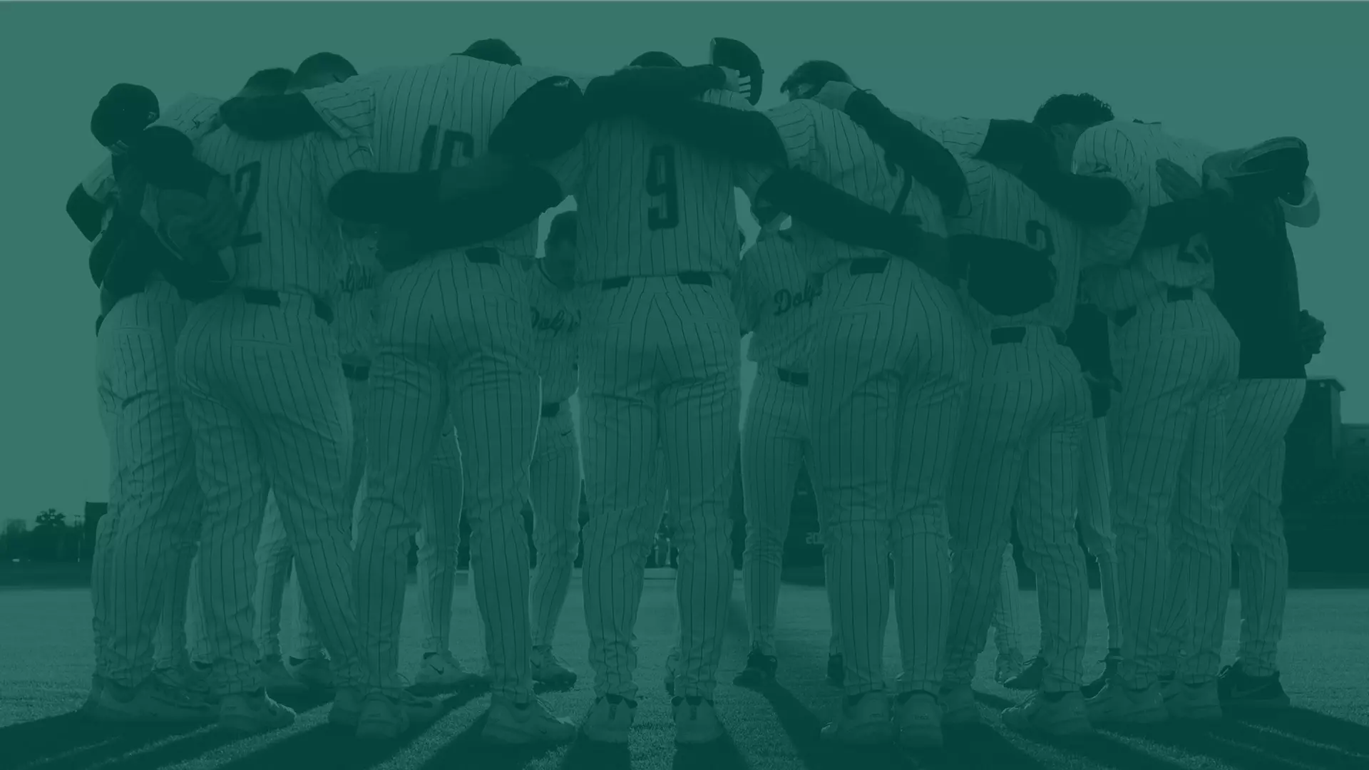 Jacksonville University banner