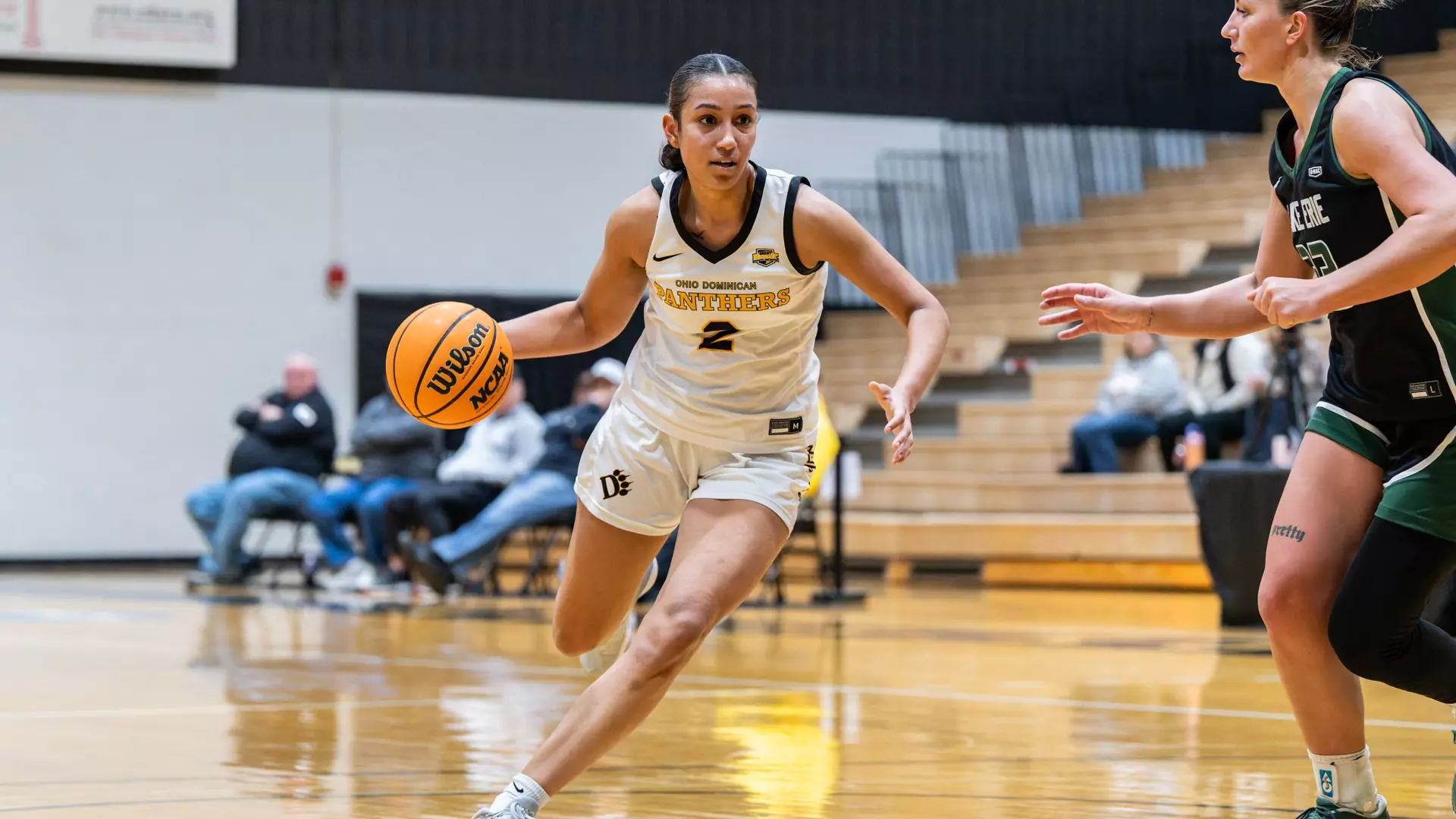 Ohio Dominican University Women's Basketball