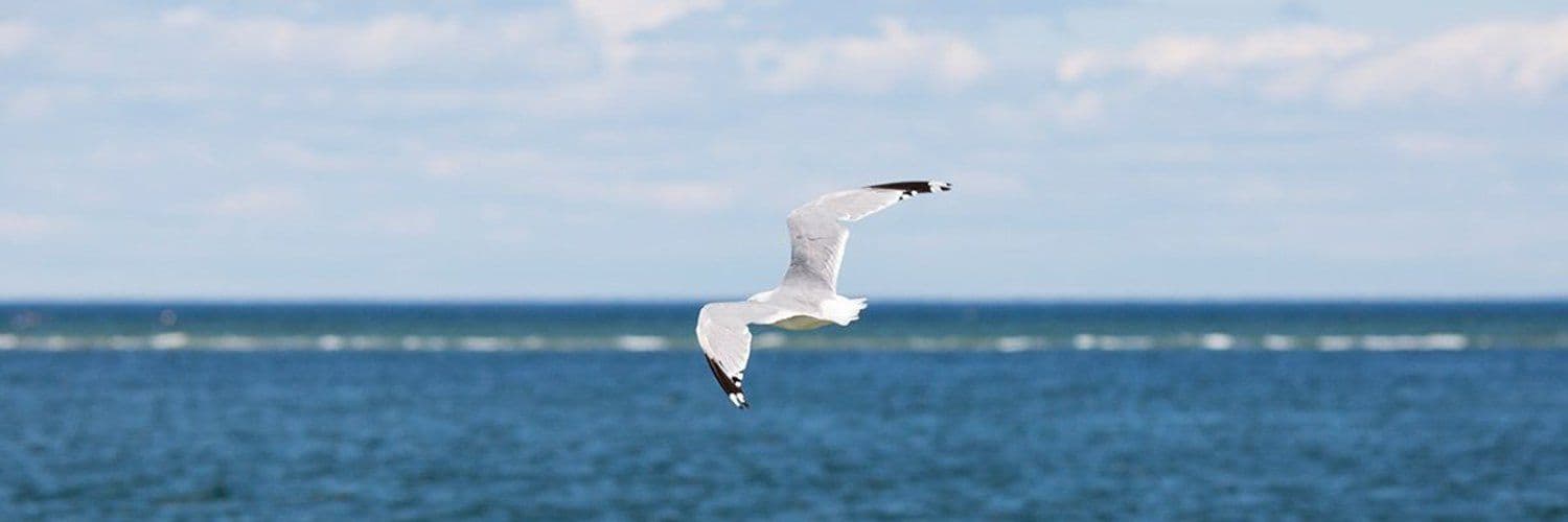 Endicott College banner