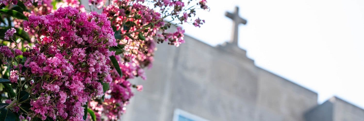 Holy Family University banner